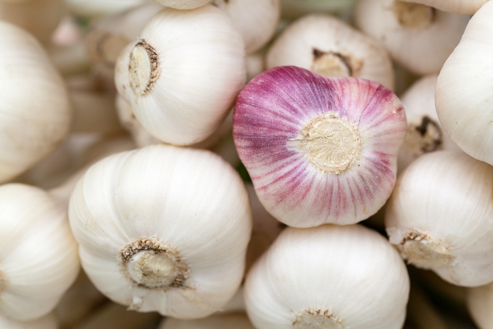 garlic-84691_960_720
