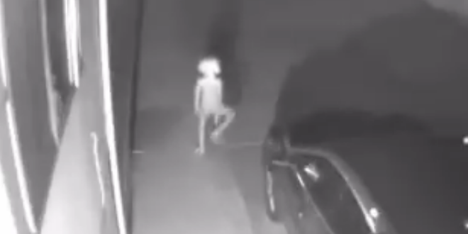 dobby the elf