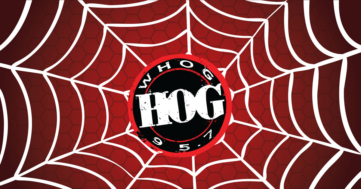 Hog spiderweb