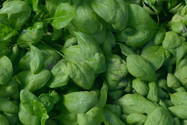 spinach