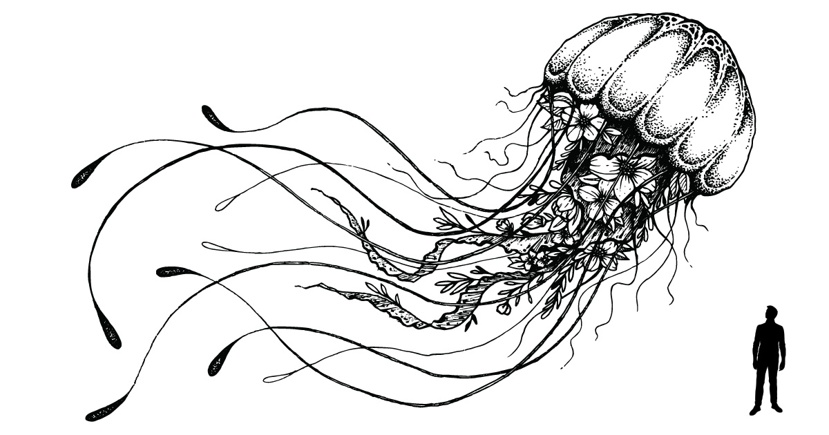 giant jellyfish