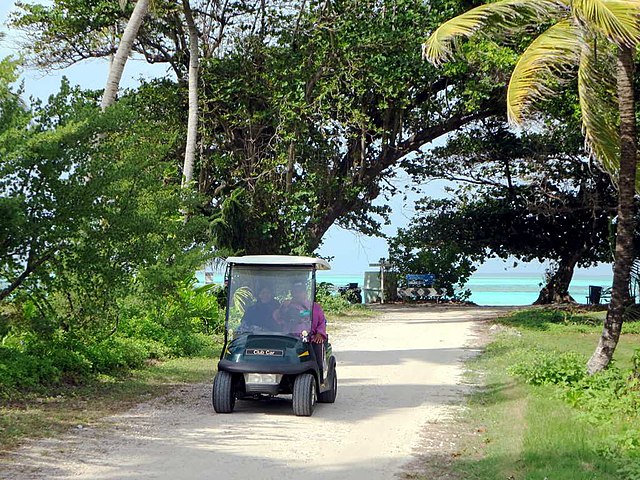 golf-cart