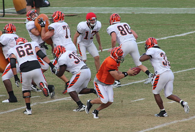 bengals