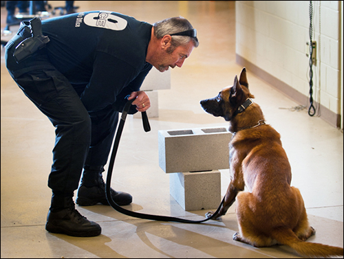 police-dog