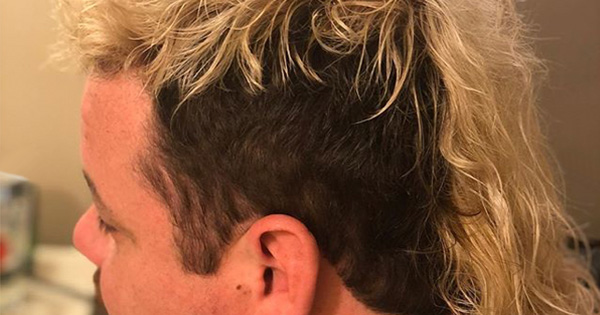 tiger king hair