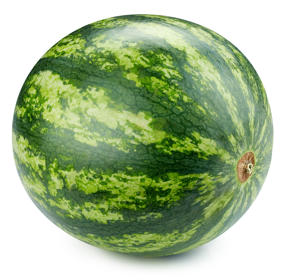 shutterstock_1676254786