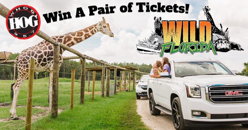 wild-florida-win-tickets-fall-2020-whog Safari at Wild Florida
